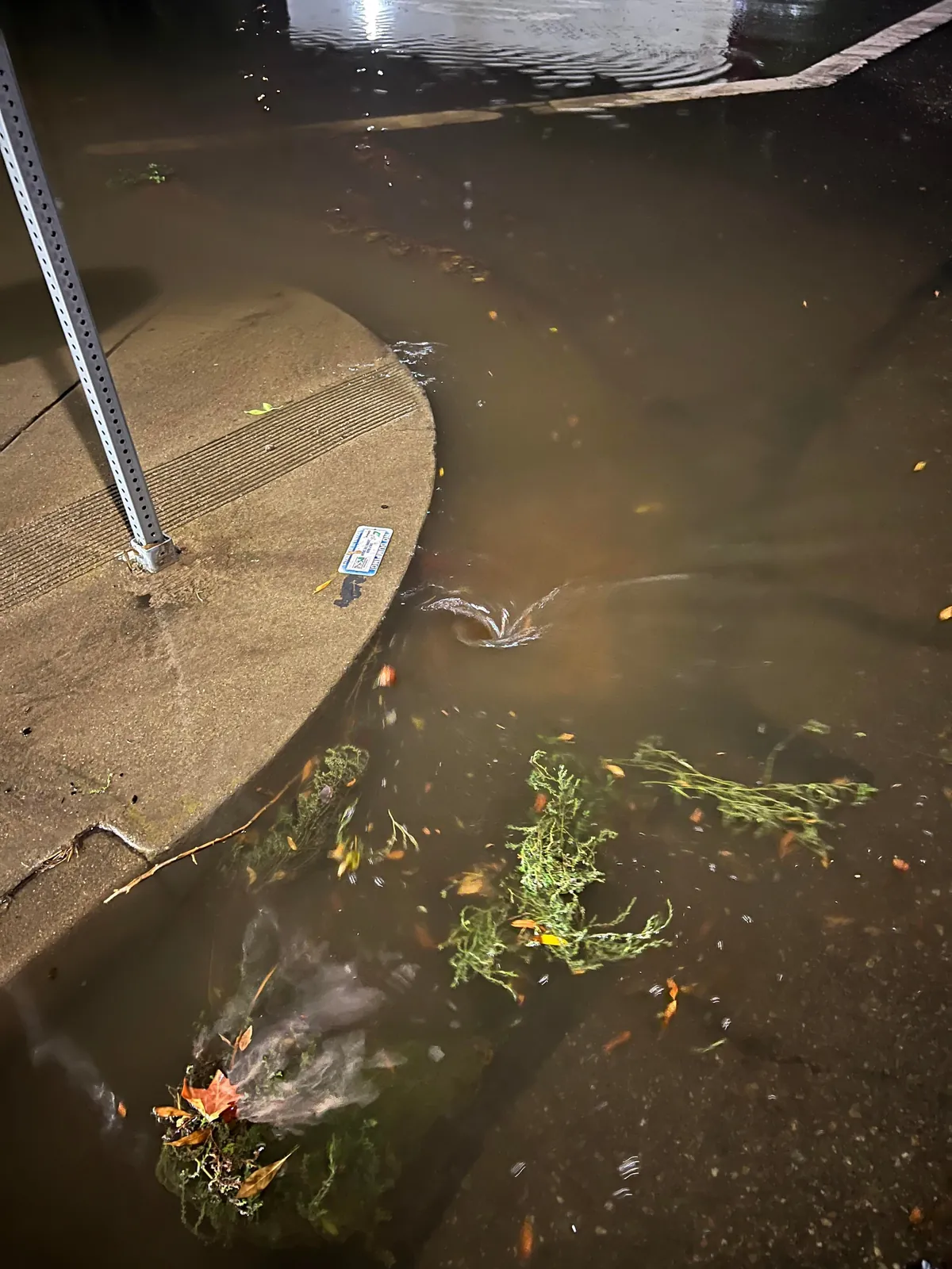 After storms flooded this vital rural California road, I decided to fix it myself. Seeing the water disappear was so satisfying.