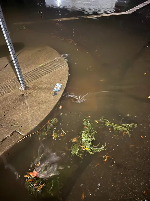 After storms flooded this vital rural California road, I decided to fix it myself. Seeing the water disappear was so satisfying.