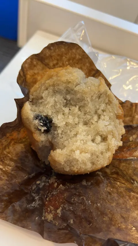 My blueberry muffin had a single blueberry