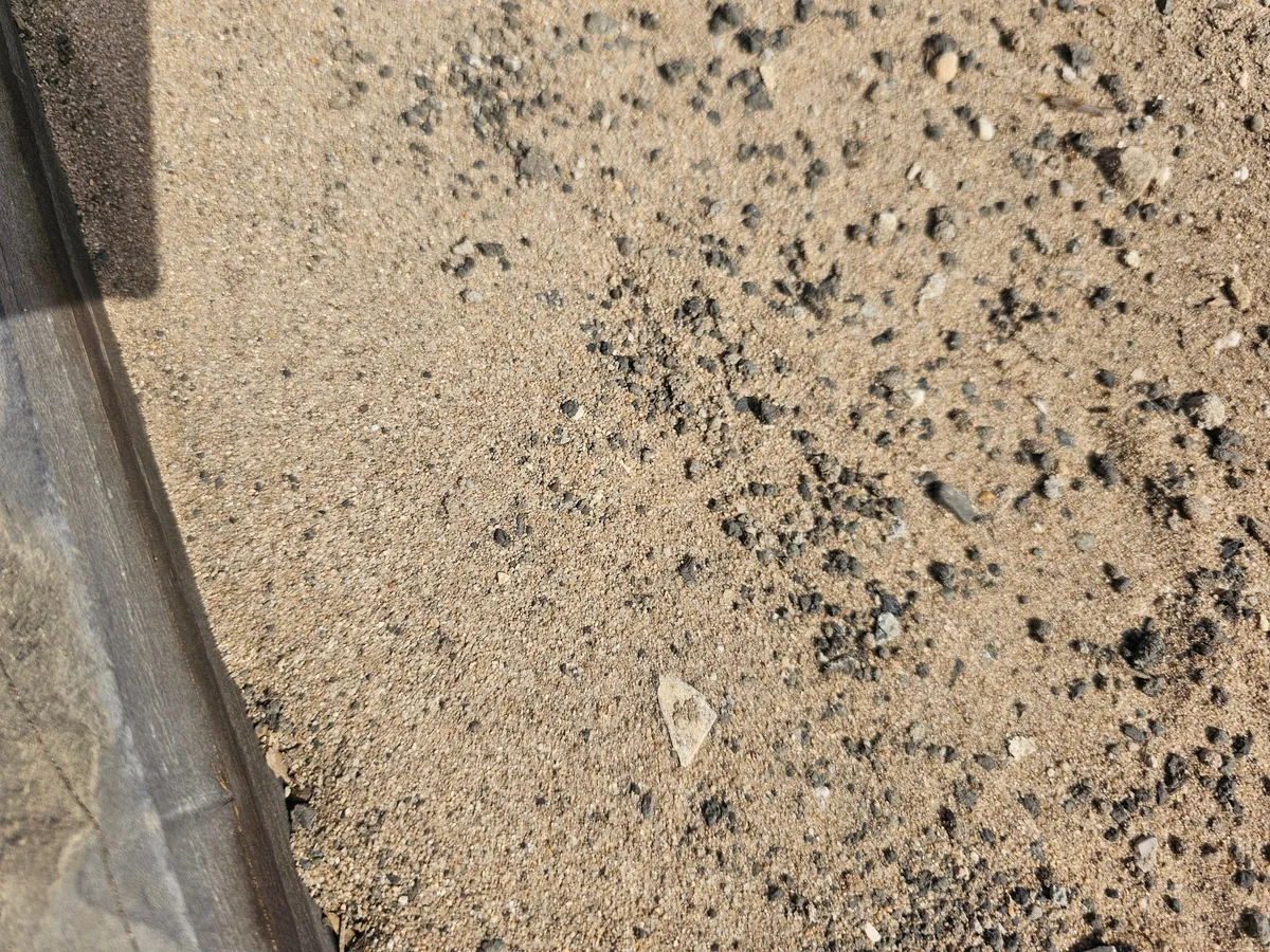 My community garden plot appears to be mostly sand. Any tips?