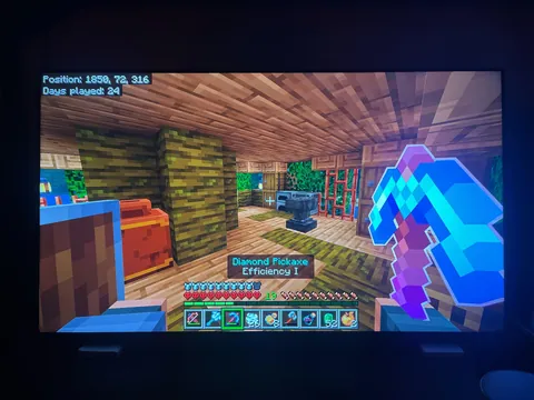 Died in hardcore but the next day i was alive?