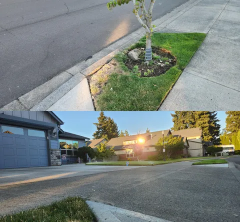 Neighbors' window kills a patch of my grass every summer