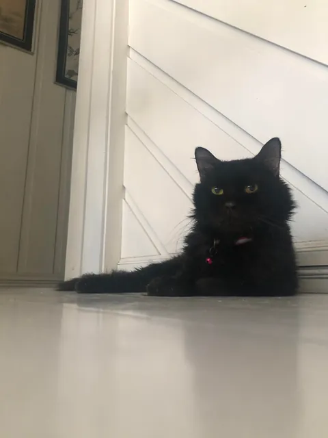 I lost my buddy a week ago.