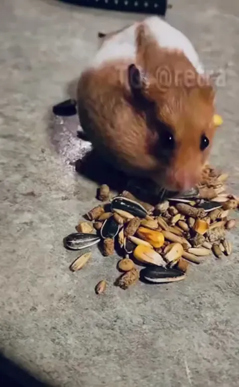 When you already started eating and someone say let’s pray