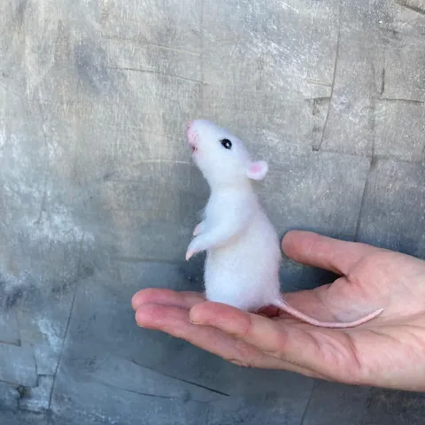 I made this cute white rat out of wool