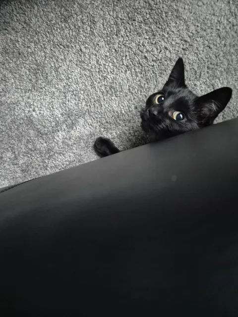 My void is 1! 🥳🥳