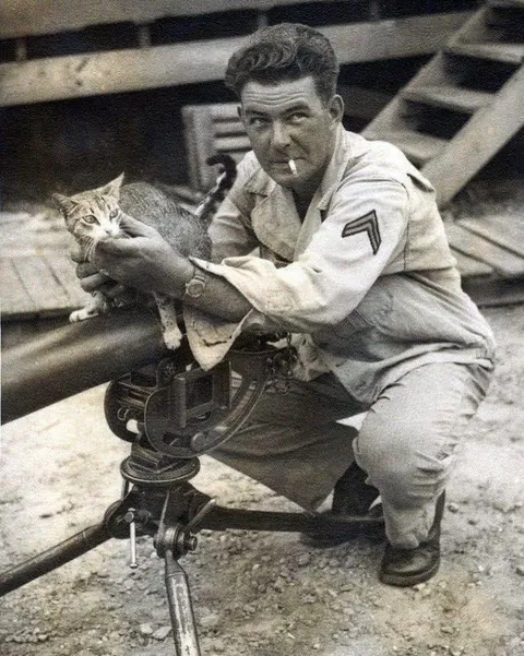 In WWI, around 500,000 cats served in trenches and on ships—controlling rats, boosting morale, and even acting as early gas detectors. They brought comfort to soldiers in the chaos of war. (Some pics are from WWII)