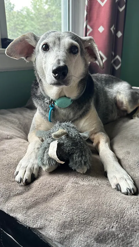 Taco is sending out the good vibes this morning!