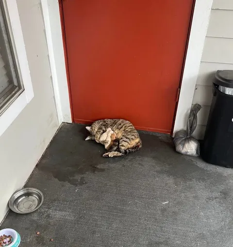 Kept the family together