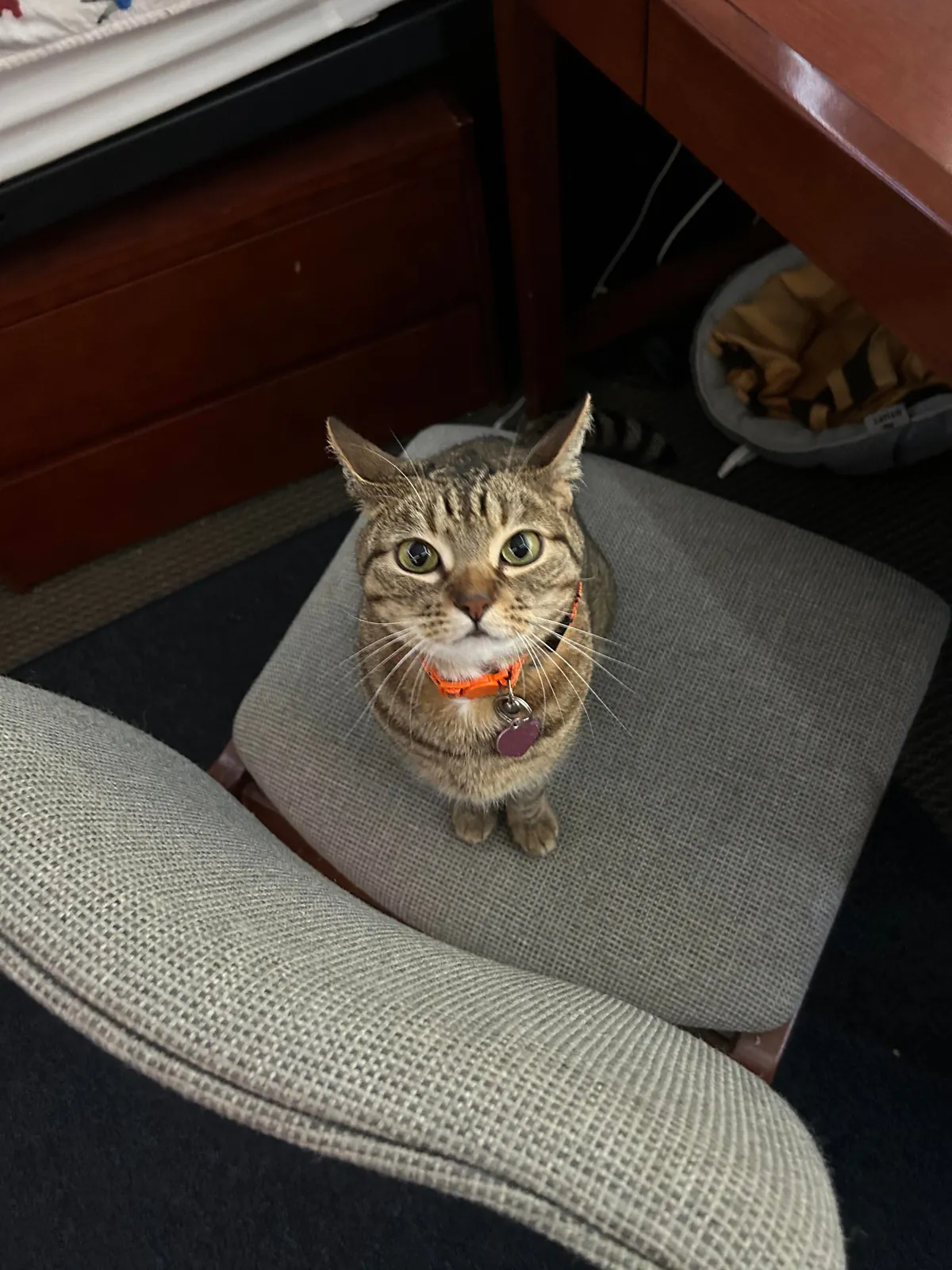 Way too smart I’m scared