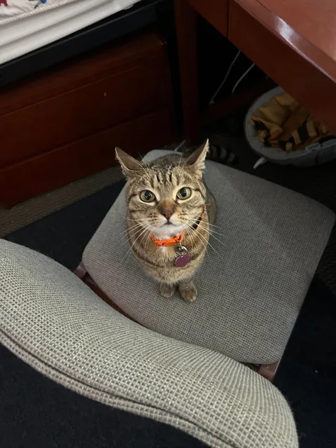 Way too smart I’m scared