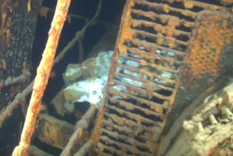 old whitey is the nickname given to a perfectly preserved human corpses that dwells in the wreck of the SS kamloops in lake superior. this is one of only a few publicly available photos of him. in the photo, you can see his legs. there are no publicly available photos of his face.