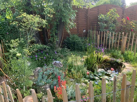 A small pool in town 🐸