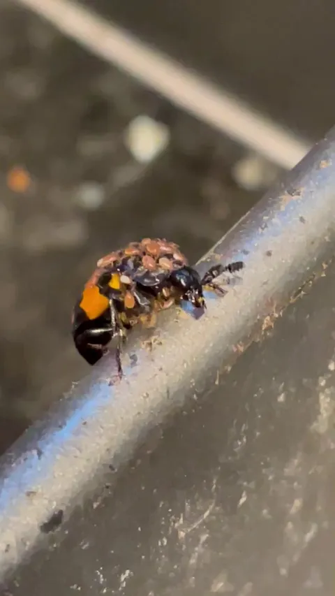 What the flip did I just witness?