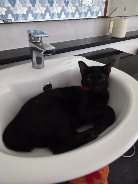 Her favorite spot, as so her sis, hahaha