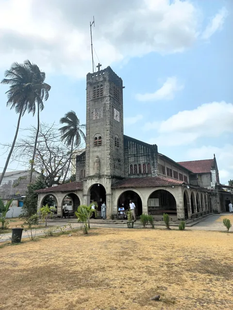 Pics from my two trips to Gabon in central Africa (Aug 2024&amp;2025)