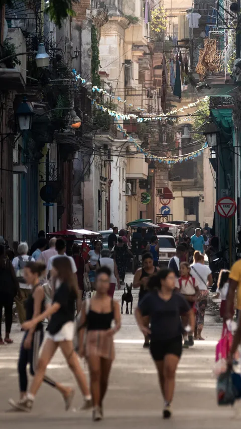 ITAP of a dog in a crowd two blocks away in Havana. 