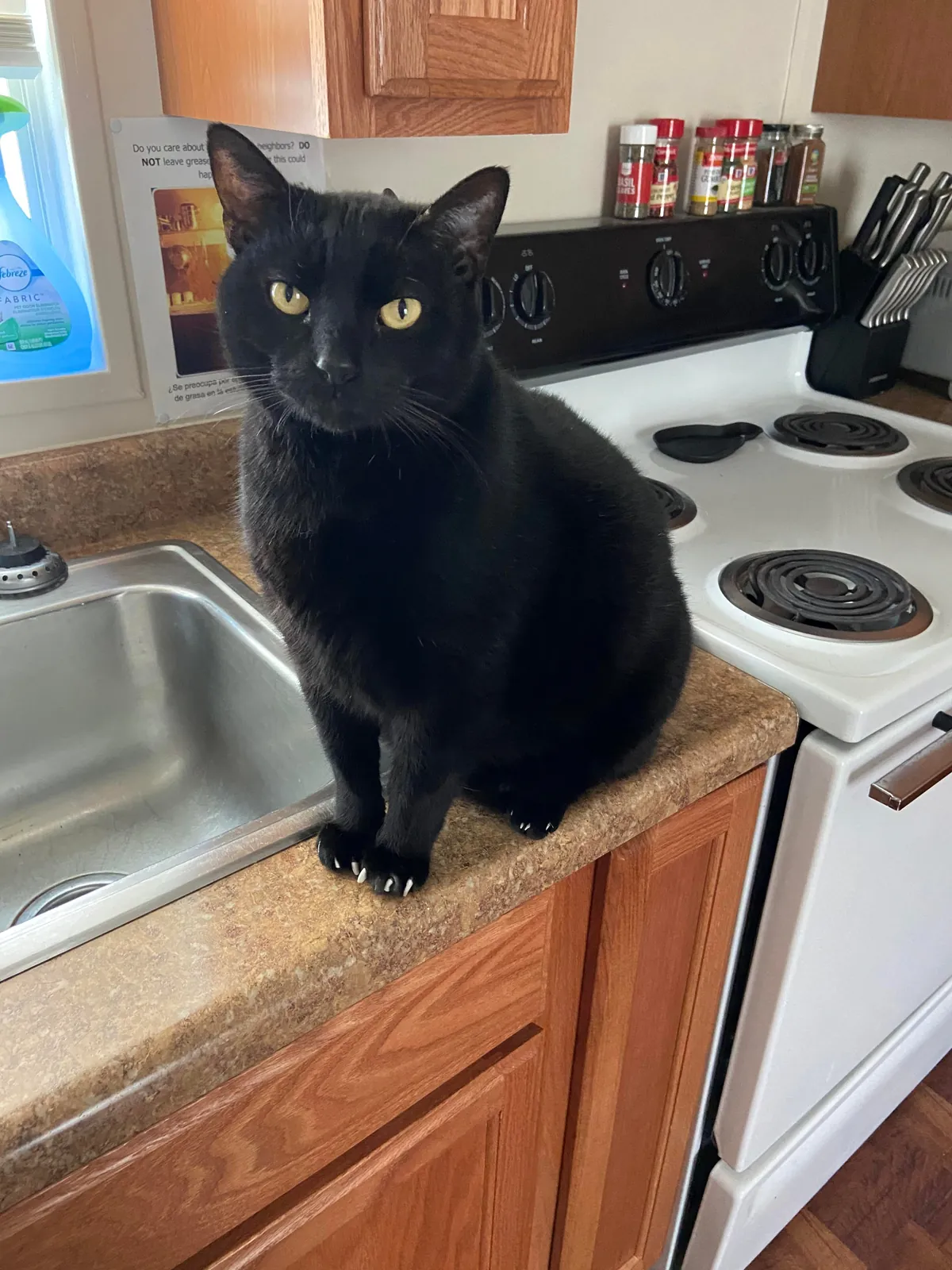 I said goodbye to my void this week after 15 years.