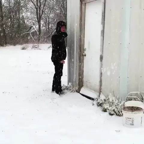 Please enjoy these ducks changing their minds.