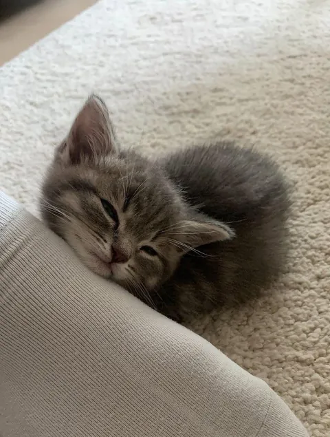 The last thing you ate is his name 🤭