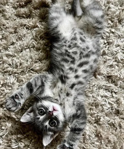 Best decision ever 🥰