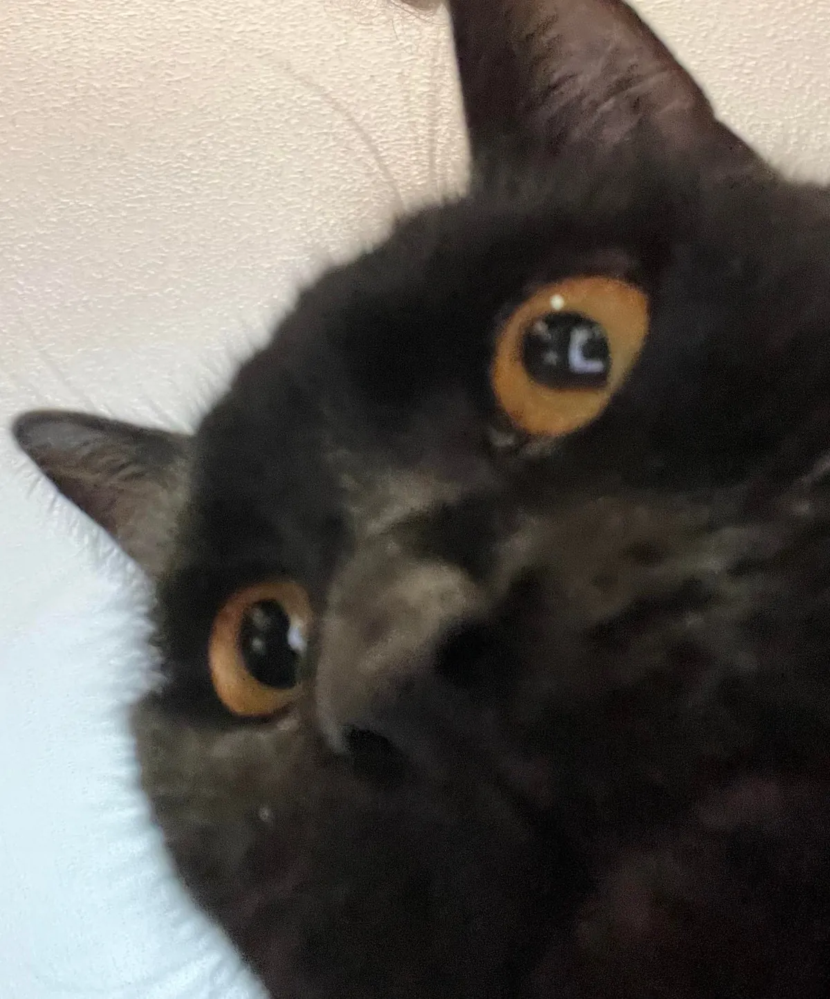 What is your void’s origin story?