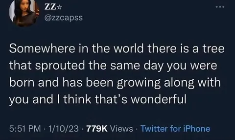 There are also many animals too