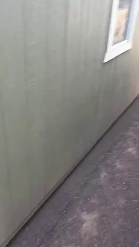 A greeting with a lot of movement in its exotic fur