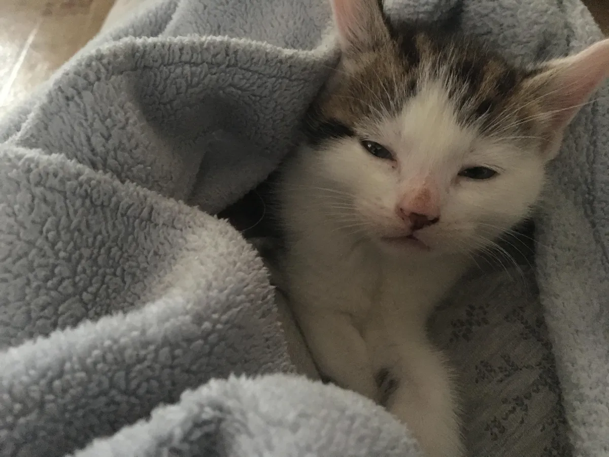 his name is the last thing you ate 🥗