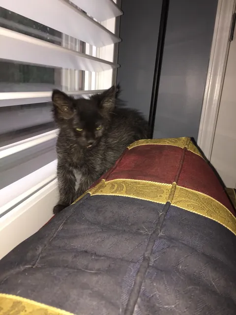 From gotcha to goodbye