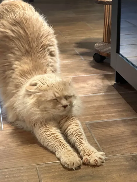 Gahwd I love him 💕