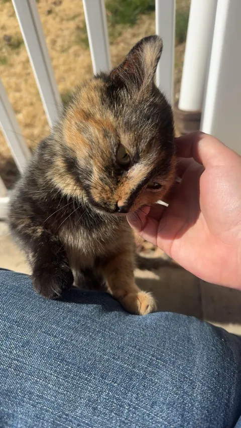 Should I take her in?