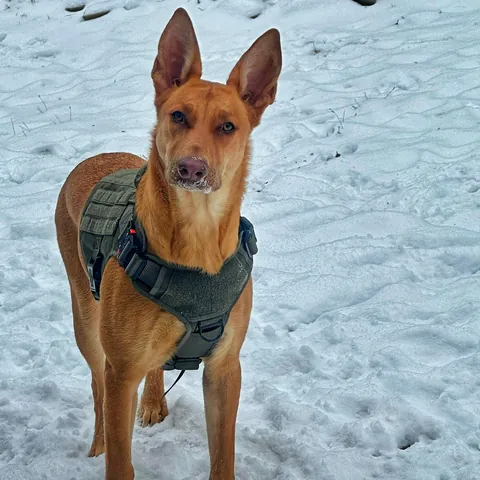 They grow up so fast