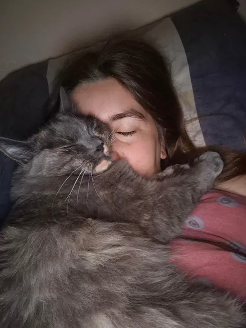 Do you think I can send these pictures to my boss as a legitimate reason for being late to work?