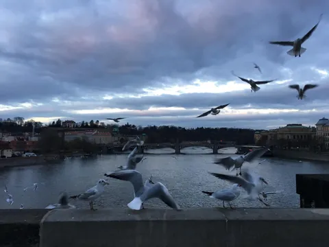 A weekend in Prague!