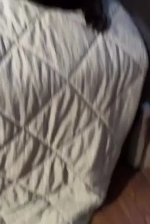 Happy 20th birthday to this distinguished gentleman!