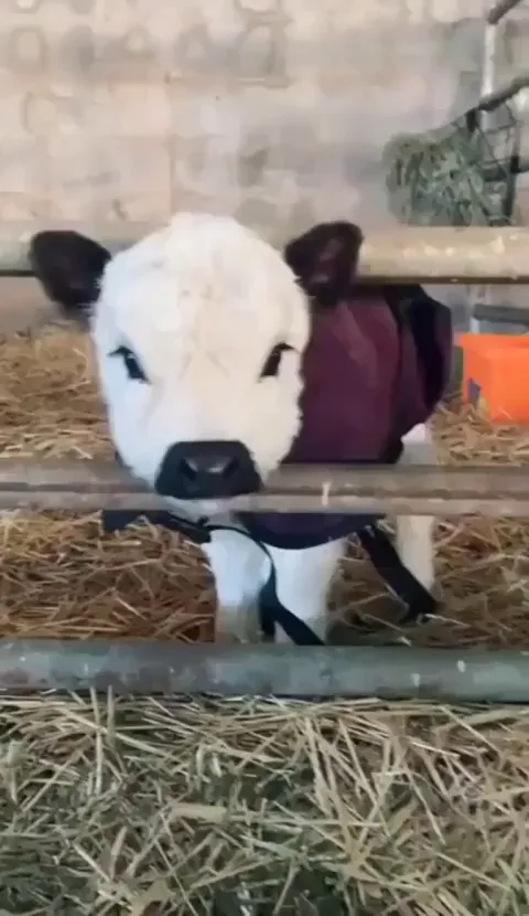 I've come back because you all need to see this precious baby