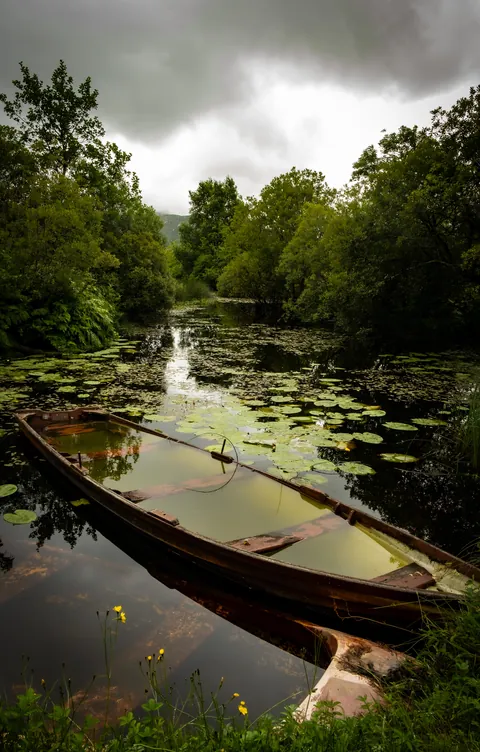 Sunken Boats. County Galway, Ireland