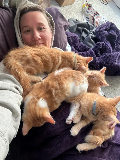 A whole litter of cell-less orangies