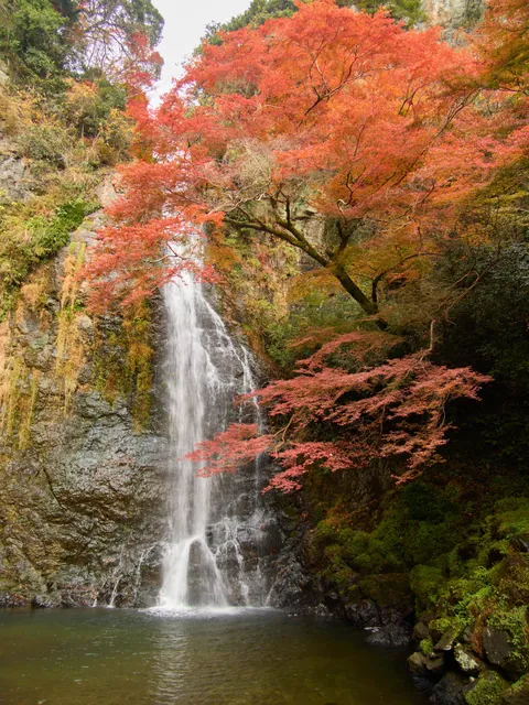 Autumn in Kansai, Japan