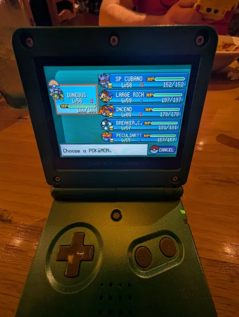 145 Hours On Pokemon Fire Red Before the Elite 4, Here's My Team!