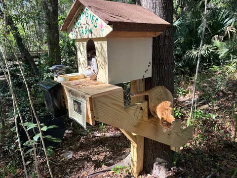 Meet Georgie everyone- A trailhead ambassador!