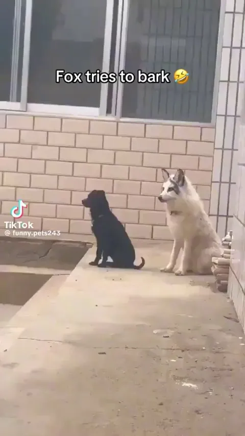 When your friend tries to back you up.