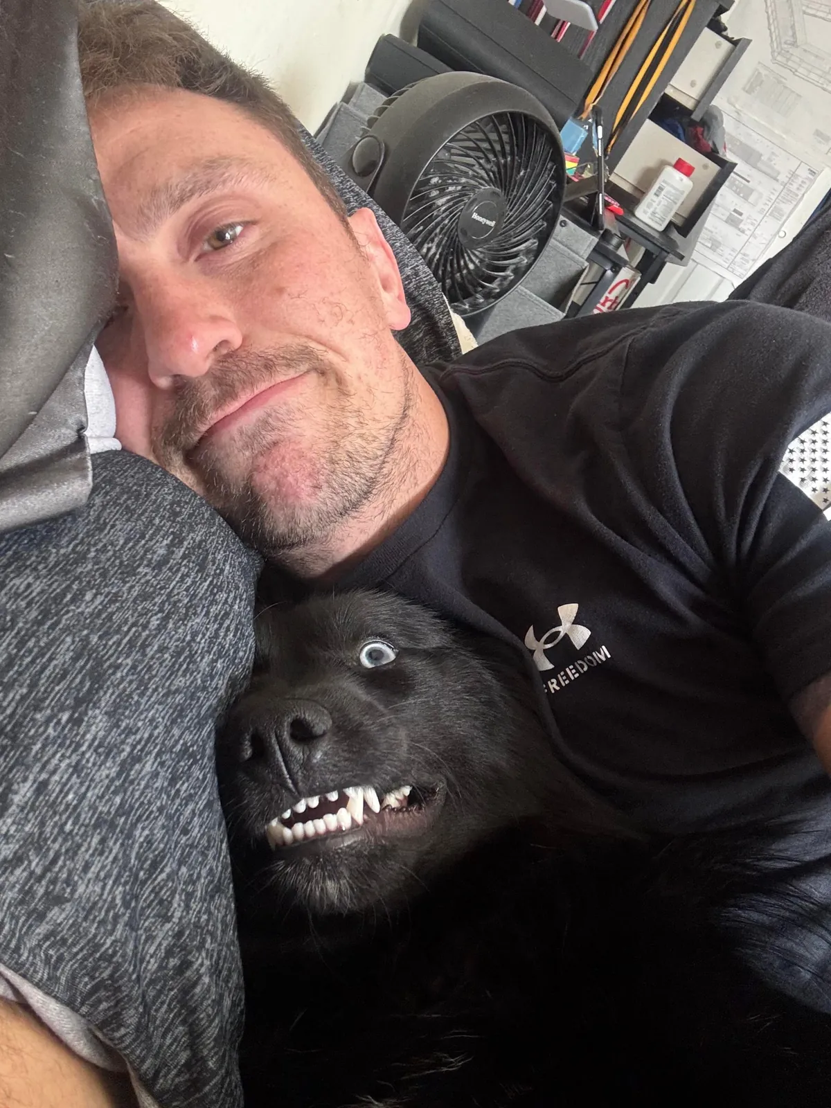 The many faces of a goofy 1 year old Australian Sheppard / American Eskimo (Auskimo?)