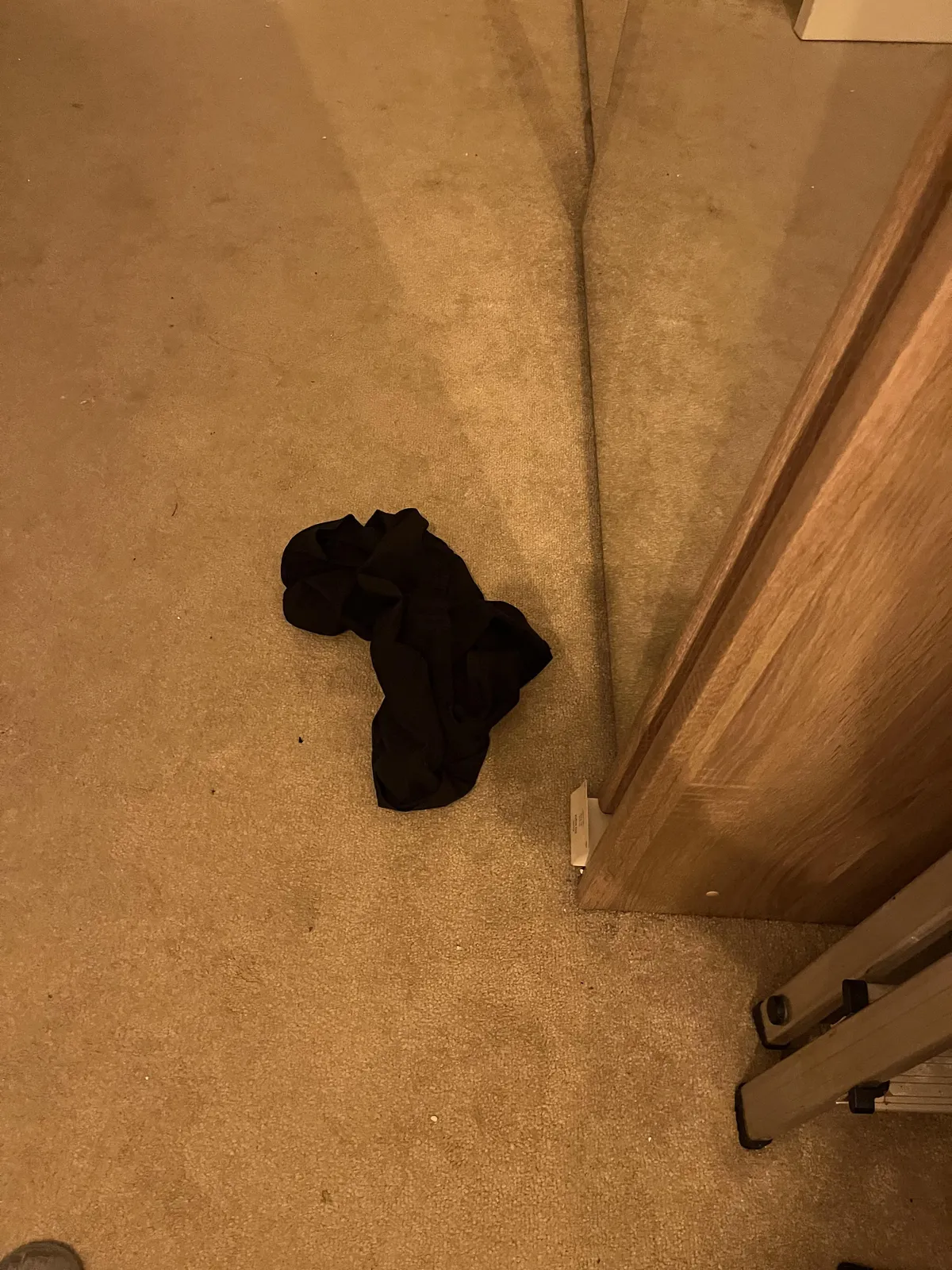 I left my shorts on the floor last night and they kinda look like Africa