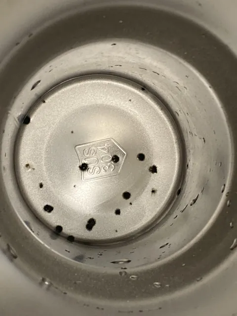 Discovered mold was in the bottom of my water cup after drinking from it all day.