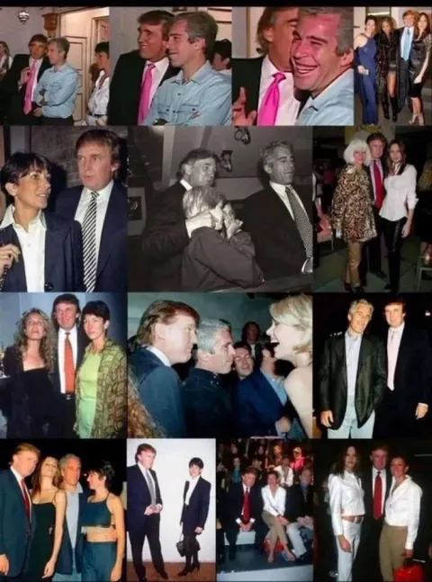 Trumps “purely professional” relationship with Epstein.