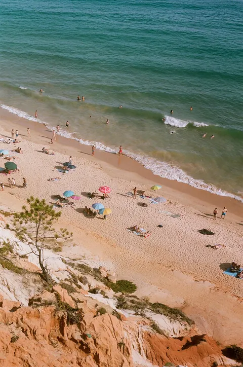 Do you guys like this photo?