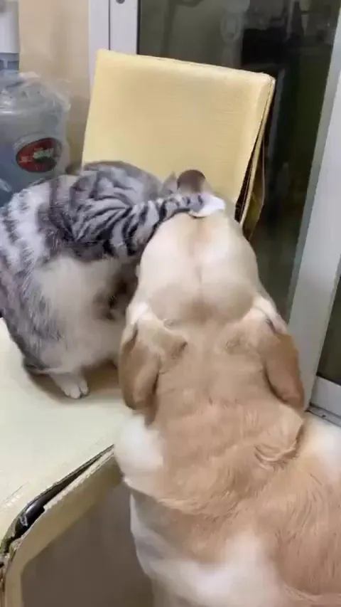 The chemistry between these two