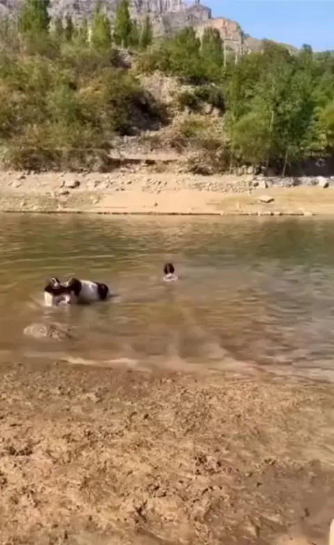 Sometimes it can be difficult to train a human